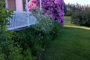 16 Brigham Rd, Paxton, MA 01612 - Photo 37