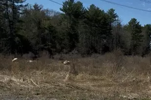 0 W Hodges St, Norton, MA 02766 - Photo 3