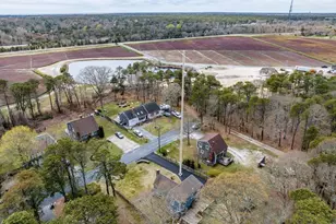 14 Daisy Ln, Yarmouth, MA 02664 - Photo 7