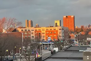 3110 Washington St, Boston, MA 02119 - Photo 23