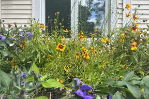 18 Highland Park Dr, West Springfield, MA 01089 - Photo 37