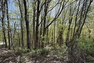 Lots 2A-3A Reservoir Rd, North Adams, MA 01247 - Photo 1