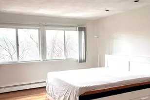 315 Goddard Ave, Brookline, MA 02445 - Photo 15