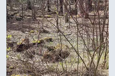 360 Jacob's Ladder Rd., Becket, MA 01223 - Photo 5