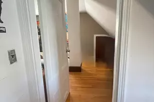 19 Nixon St, Boston, MA 02124 - Photo 13