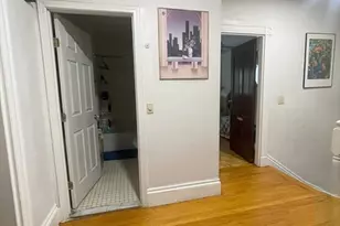 19 Nixon St, Boston, MA 02124 - Photo 15
