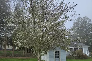 203 Hooper St, Tiverton, RI 02878 - Photo 33