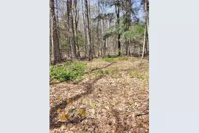 Lot 3 Town Hill Rd, Sandisfield, MA 01255 - Photo 11