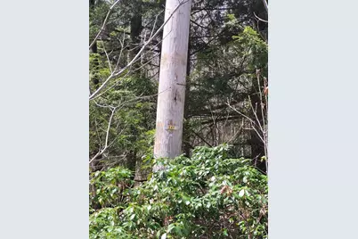 Lot 3 Town Hill Rd, Sandisfield, MA 01255 - Photo 3