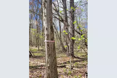 Lot 3 Town Hill Rd, Sandisfield, MA 01255 - Photo 7