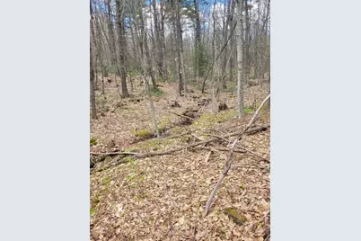 Lot 3 Town Hill Rd, Sandisfield, MA 01255 - Photo 5