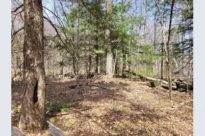 Lot 3 Town Hill Rd, Sandisfield, MA 01255 - Photo 9