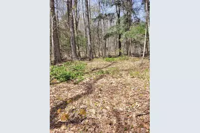 Lot 3 Town Hill Rd, Sandisfield, MA 01255 - Photo 11