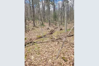 Lot 3 Town Hill Rd, Sandisfield, MA 01255 - Photo 5