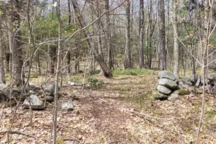 Lot 3 Town Hill Rd, Sandisfield, MA 01255 - Photo 1