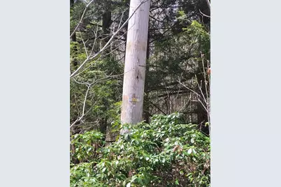 Lot 3 Town Hill Rd, Sandisfield, MA 01255 - Photo 3