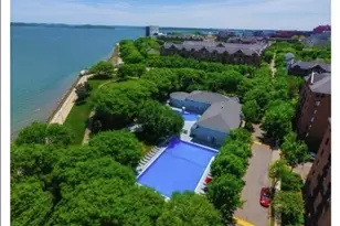 50 Island View Pl, Boston, MA 02125 - Photo 15