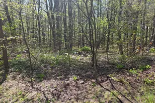 Lot 1 Winter St, Orange, MA 01364 - Photo 1