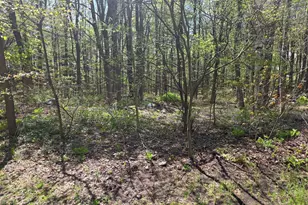Lot 1 Winter St, Orange, MA 01364 - Photo 1