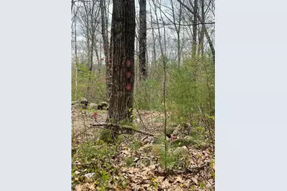 0 Miner Rd, Hardwick, MA 01037 - Photo 3