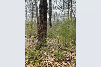 0 Miner Rd, Hardwick, MA 01037 - Photo 1