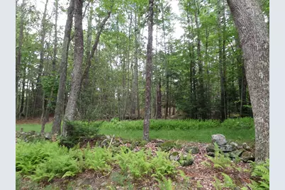 0 Pynchon Rd, Chesterfield, MA 01012 - Photo 1