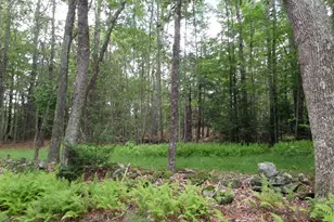 0 Pynchon Rd, Chesterfield, MA 01012 - Photo 1