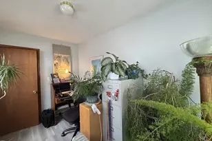 15 Clinton St, Newton, MA 02458 - Photo 11