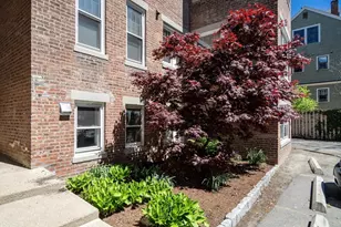 12 Gibbs St, Brookline, MA 02446 - Photo 15