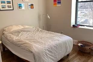 27 Dudley St, Boston, MA 02119 - Photo 3