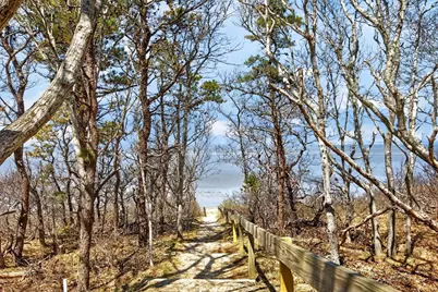 47 Flying Dragon Road, Brewster, MA 02631 - Photo 35