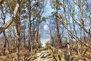 47 Flying Dragon Rd, Brewster, MA 02631 - Photo 35