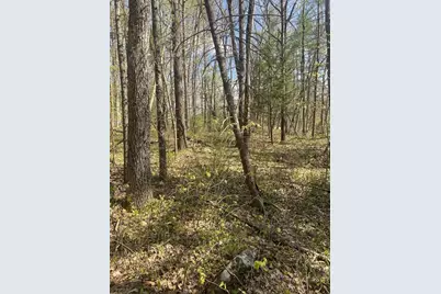 395 Belchertown Rd, Ware, MA 01082 - Photo 3