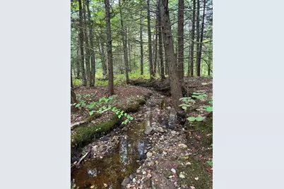 60 Stone Hill Road, Rowe, MA 01367 - Photo 19