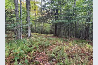 60 Stone Hill Road, Rowe, MA 01367 - Photo 27