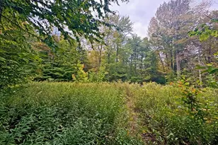 60 Stone Hill Rd, Rowe, MA 01367 - Photo 1