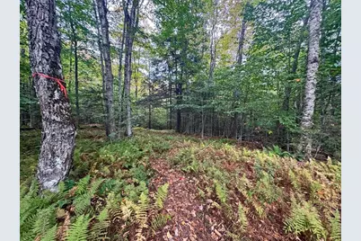 60 Stone Hill Road, Rowe, MA 01367 - Photo 15