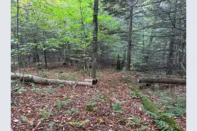 60 Stone Hill Road, Rowe, MA 01367 - Photo 13