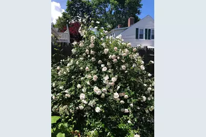 60 Warren Street, Newburyport, MA 01950 - Photo 35