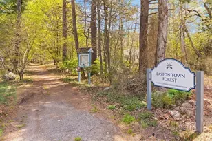 147 Randall St, Easton, MA 02356 - Photo 39