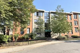 8 Juniper St, Brookline, MA 02445 - Photo 1
