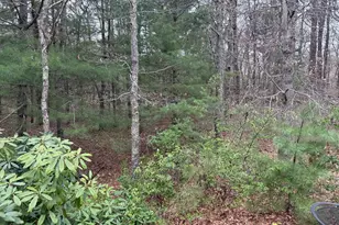 75 Newton St, Northborough, MA 01532 - Photo 3