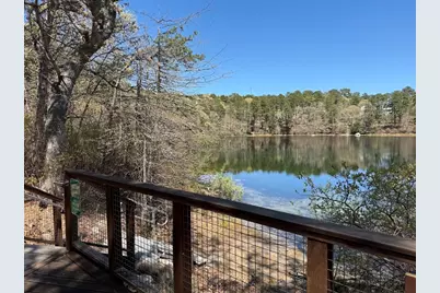 16 Cedar Ln, Brewster, MA 02631 - Photo 35