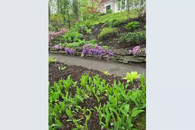 8 Montvale, Worcester, MA 01609 - Photo 35
