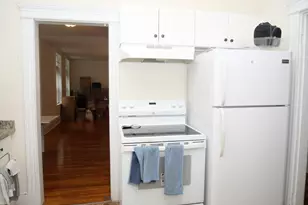 231 Saint Paul, Brookline, MA 02446 - Photo 3