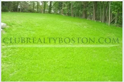 195 Forest #195, Arlington, MA 02474 - Photo 5