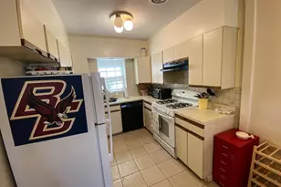 38 Lake Shore Terrace, Boston, MA 02135 - Photo 9