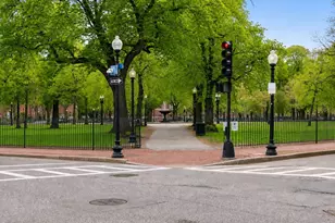 439 Shawmut Ave, Boston, MA 02118 - Photo 23