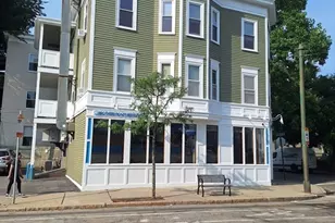 293 Cypress St, Brookline, MA 02445 - Photo 3