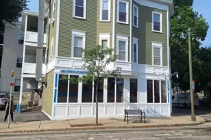 293 Cypress St, Brookline, MA 02445 - Photo 3
